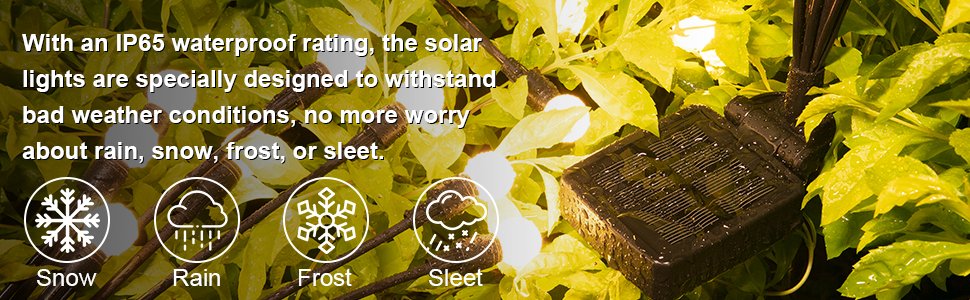 solar garden lights